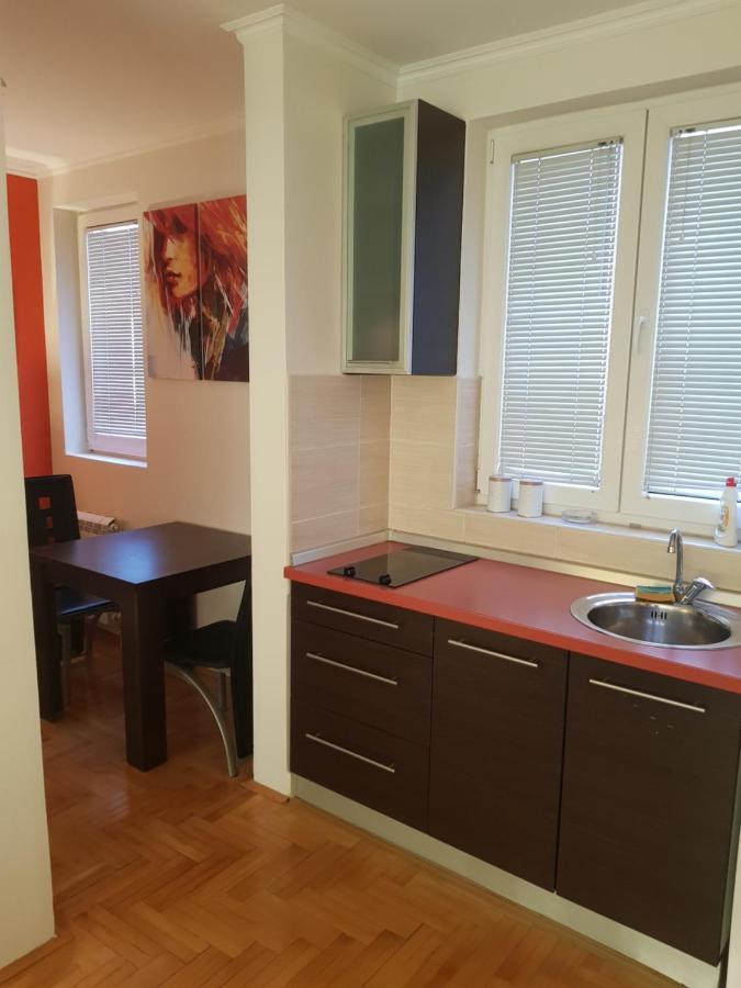 Rajiceva 5- Apartman Sa Prostranom Terasom I Garaznim Mestom 크라구예바츠 외부 사진